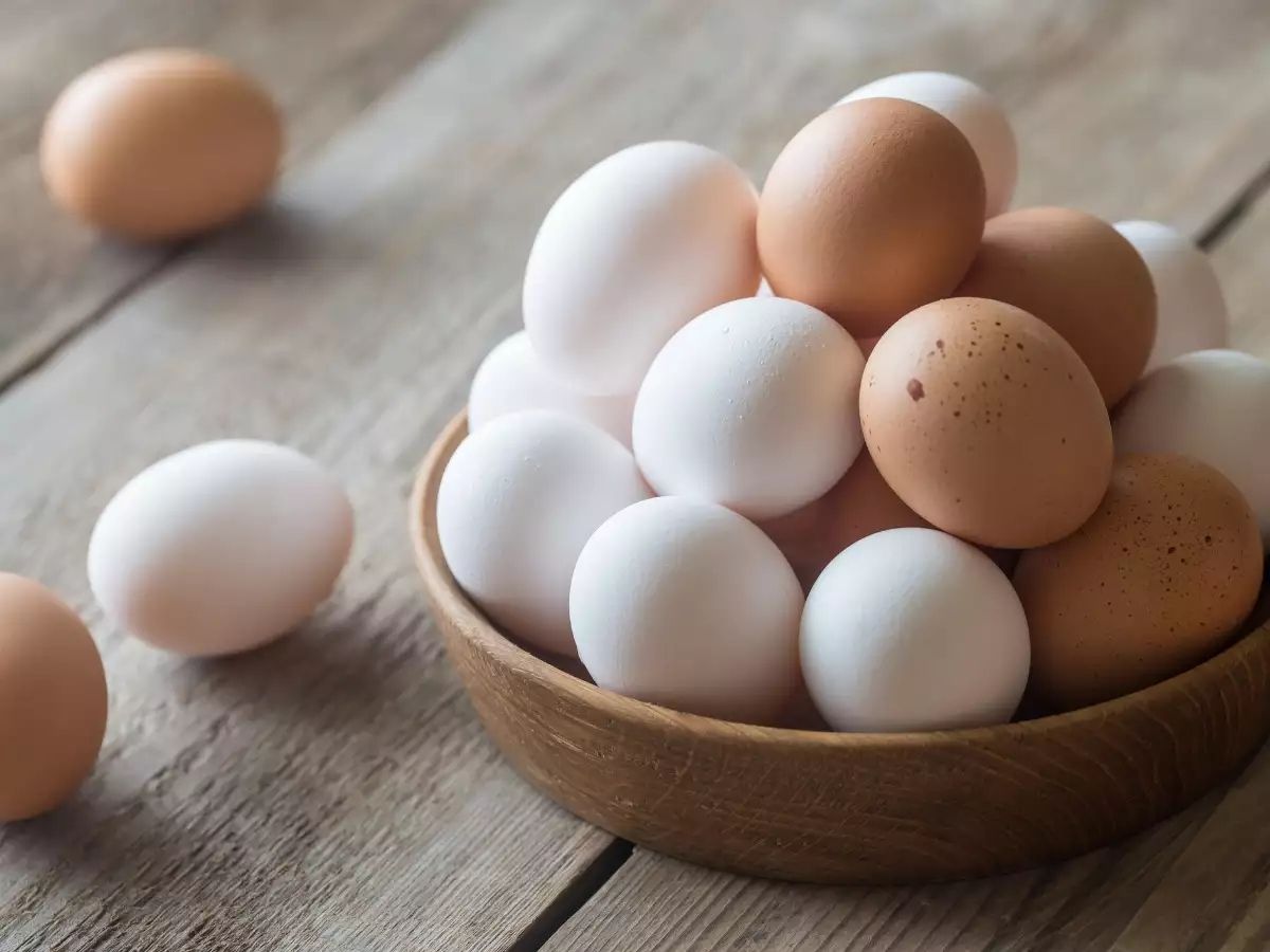 فوائد تناول البيض.. هذا ما يفعله تناول بيضة واحدة يوميًا بجسمك