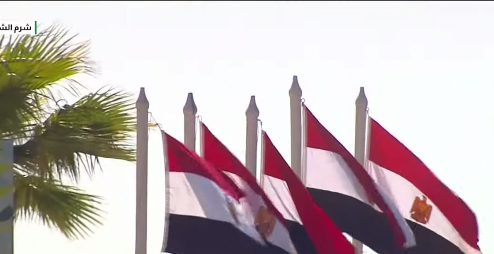 1e087b6d51.jpg