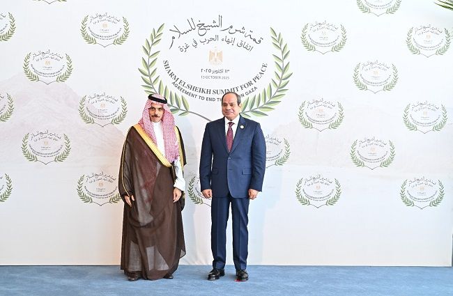49fcee57d3.jpg