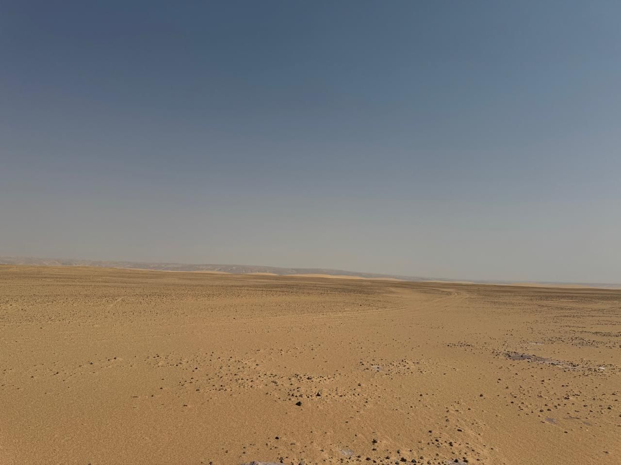 b530aa5d6b.jpg