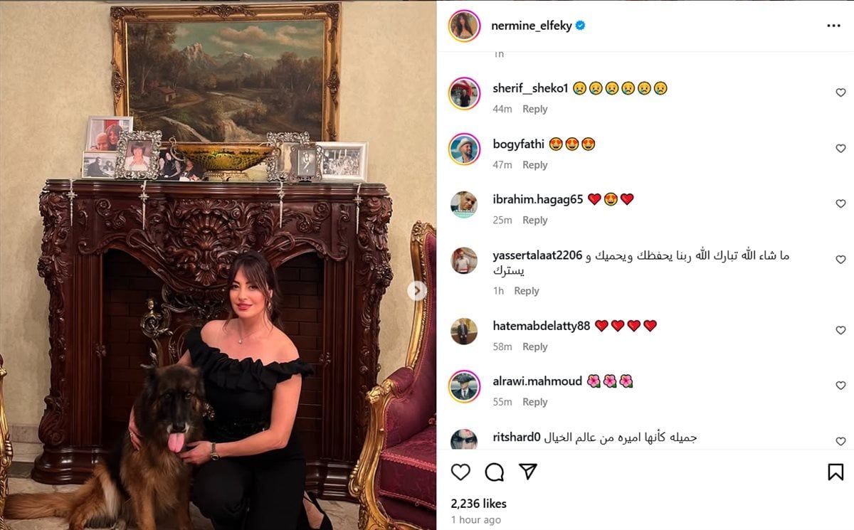نرمين الفقي