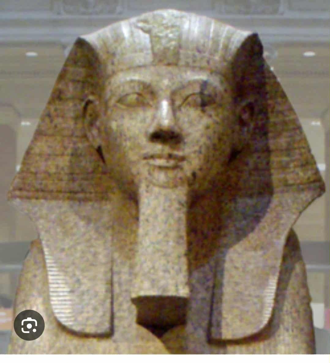 9c83515038.jpg
