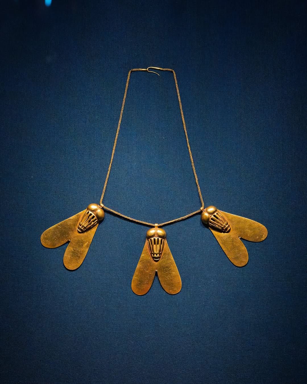 الذبابة الذهبية