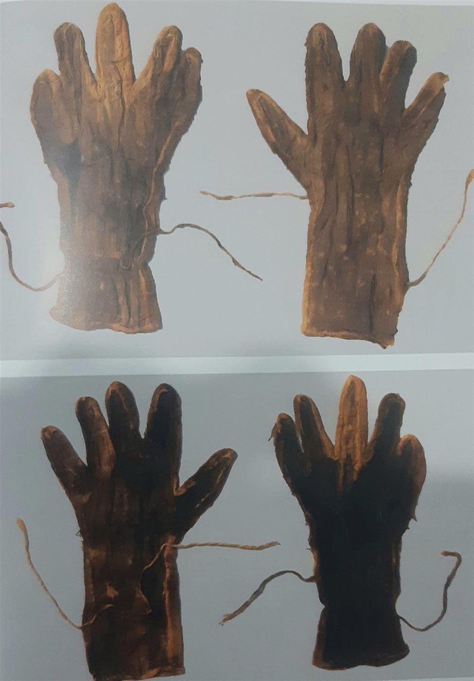 قفازات الملك الذهبي