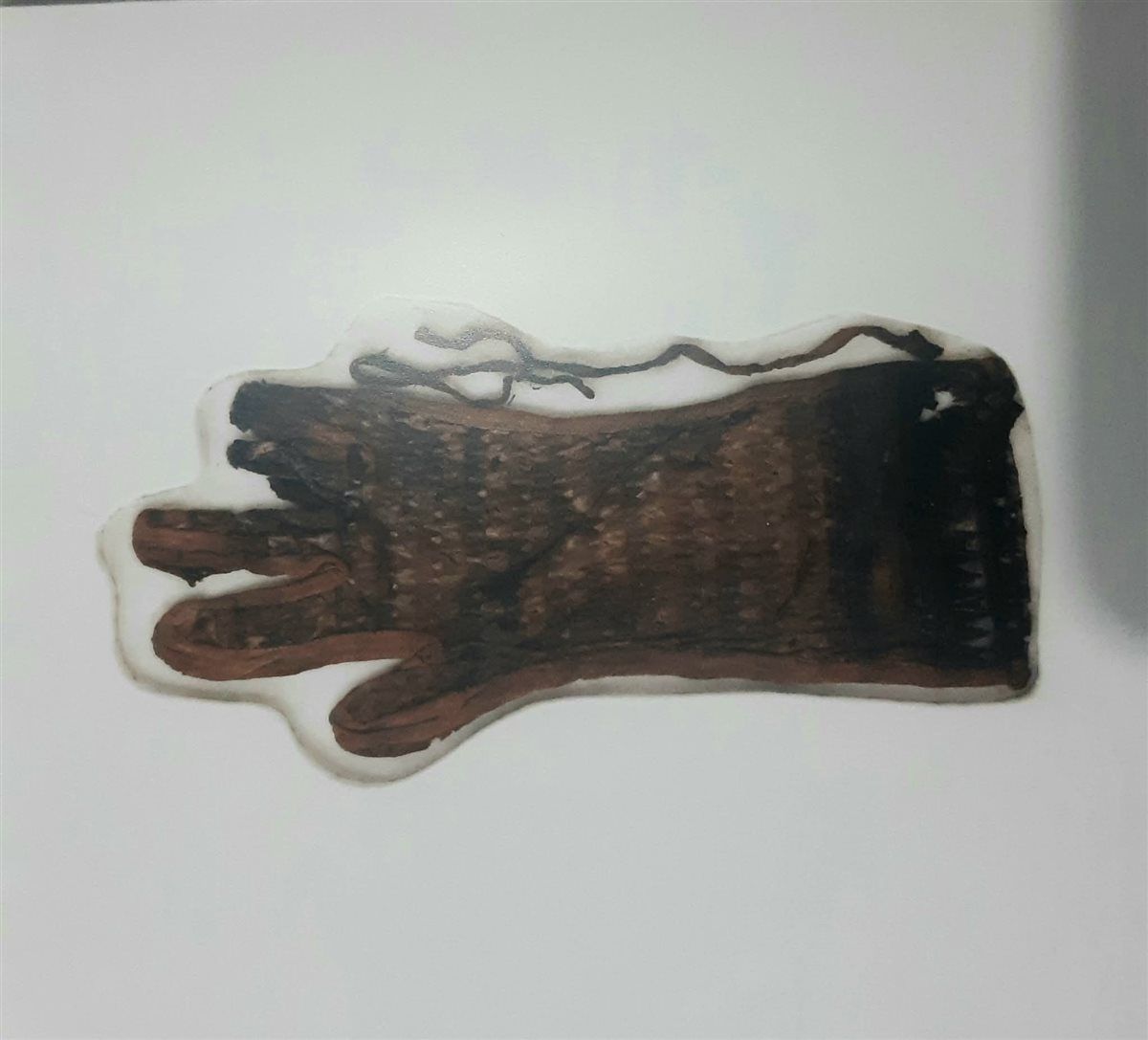 قفازات الملك الذهبي