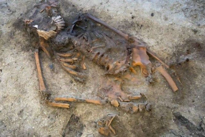 بقايا هيكل عظمى من عصر الفايكنج بقايا هيكل عظمى من عصر الفايكنج