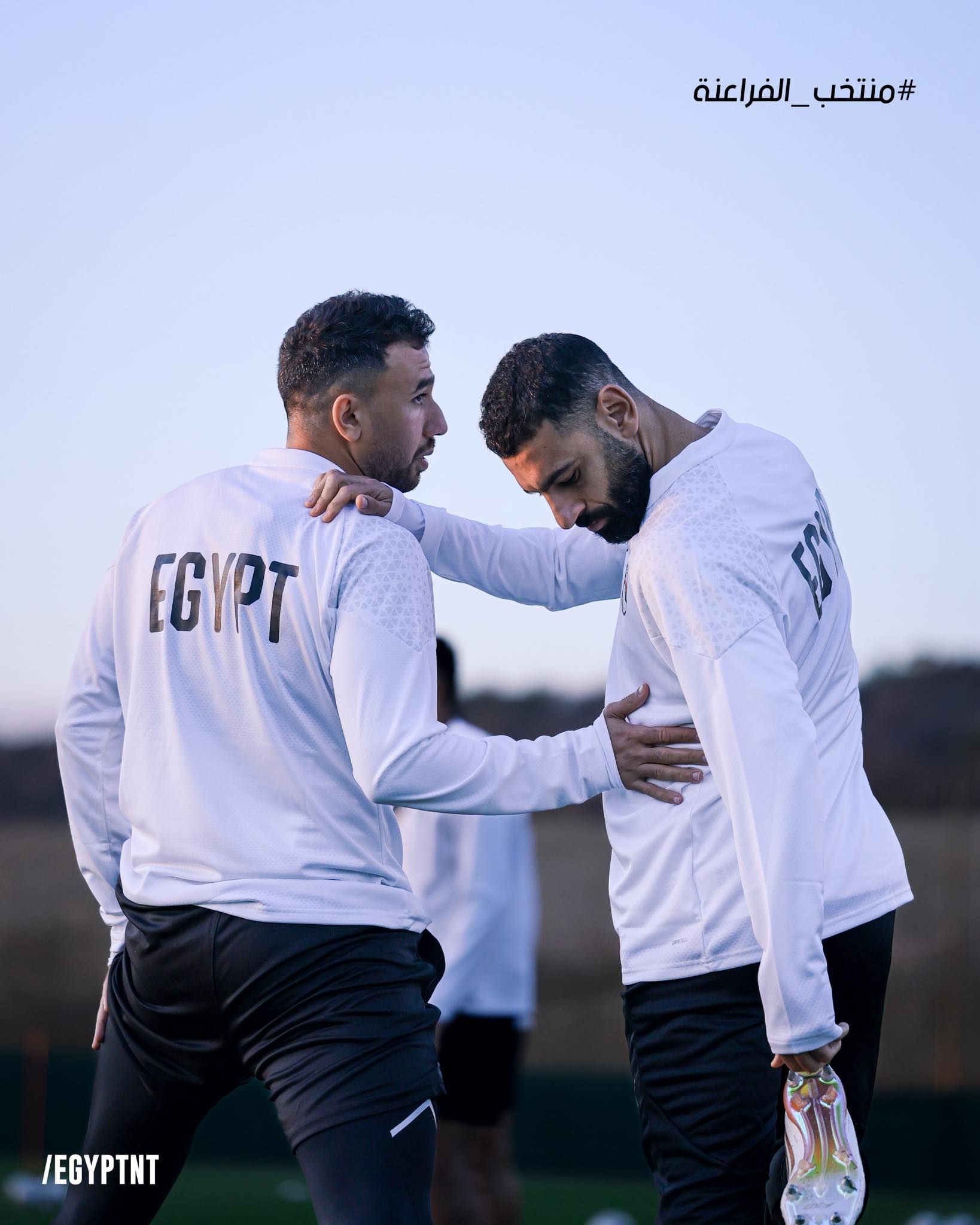 صلاح وتريزيجية صلاح وتريزيجية