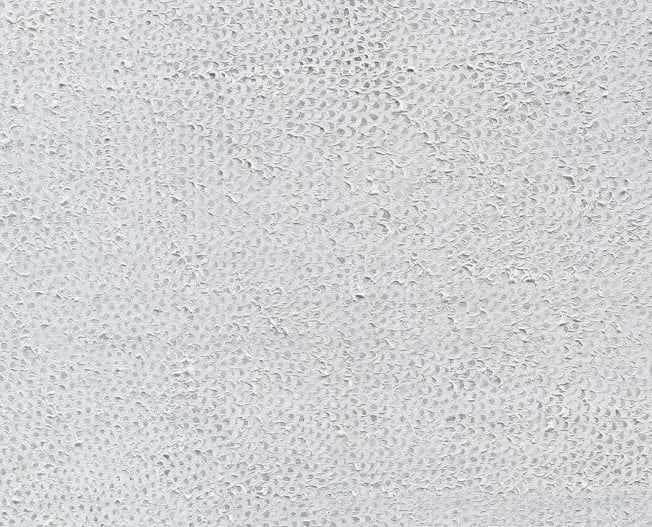 الفنانة يايوى كوساما