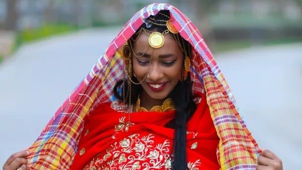 الجيرتيك الجيرتيك