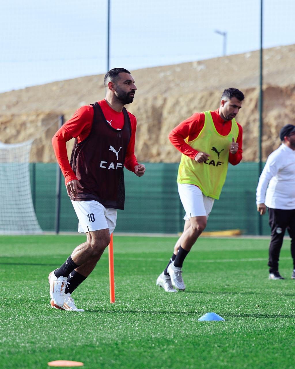 صلاح وتريزيجيه