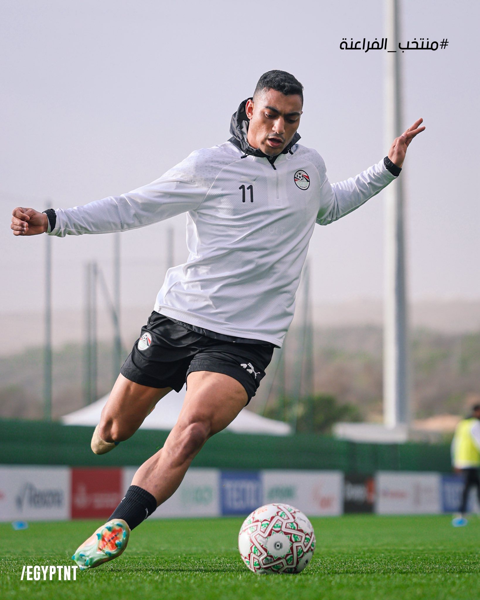 مصطفي محمد مصطفي محمد