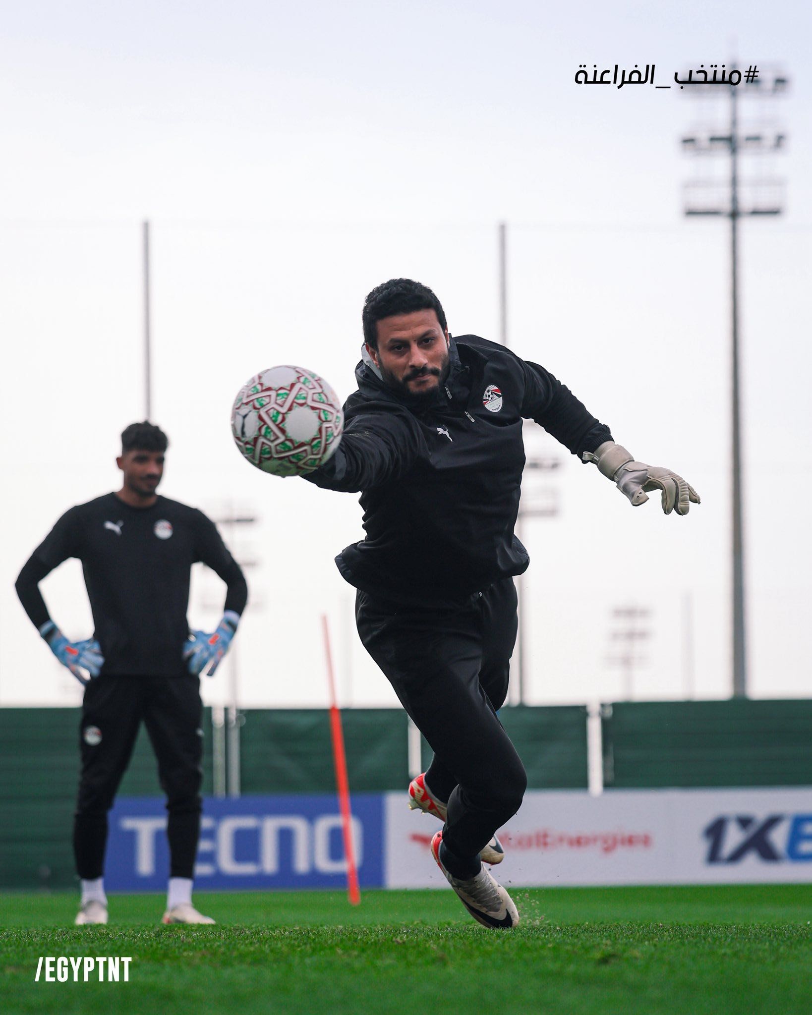 الشناوي الشناوي