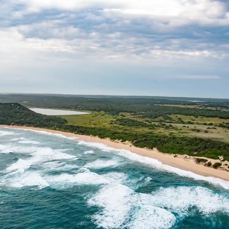 منتزه مابوتو الوطني منتزه مابوتو الوطني