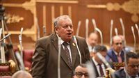 النائب محمد الأجرود: حماية الأطفال رقميًا قضية أمن قومي تستوجب تشريعًا عاجلًا