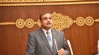 «لحماية أطفالنا من مخاطرها».. النائب عماد خليل يطالب بتبني إطار تشريعي لتحديد حد أدنى للعمر لاستخدام منصات التواصل الاجتماعي