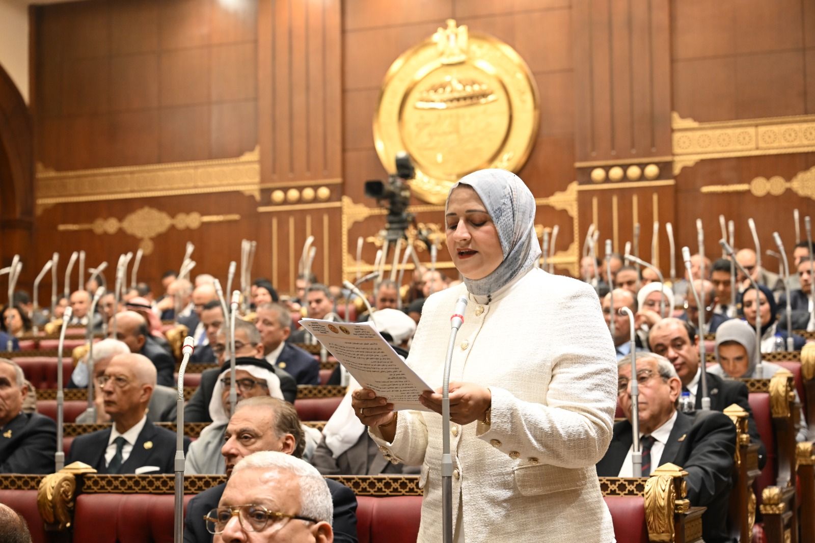 تنظيم استخدام الإنترنت للأطفال.. النائبة مروة قنصوه تقترح شبكة معلوماتية وطنية موازية للأطفال دون سن الرابعة عشرة