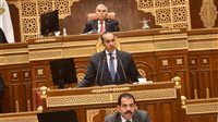 الحكومة أمام الشيوخ: نتفق مع منع استخدام الهواتف في المدارس.. والتشريع الجديد يُلزام مقدمي الخدمات بتخفيف تعرض الأطفال للممارسات الضارة
