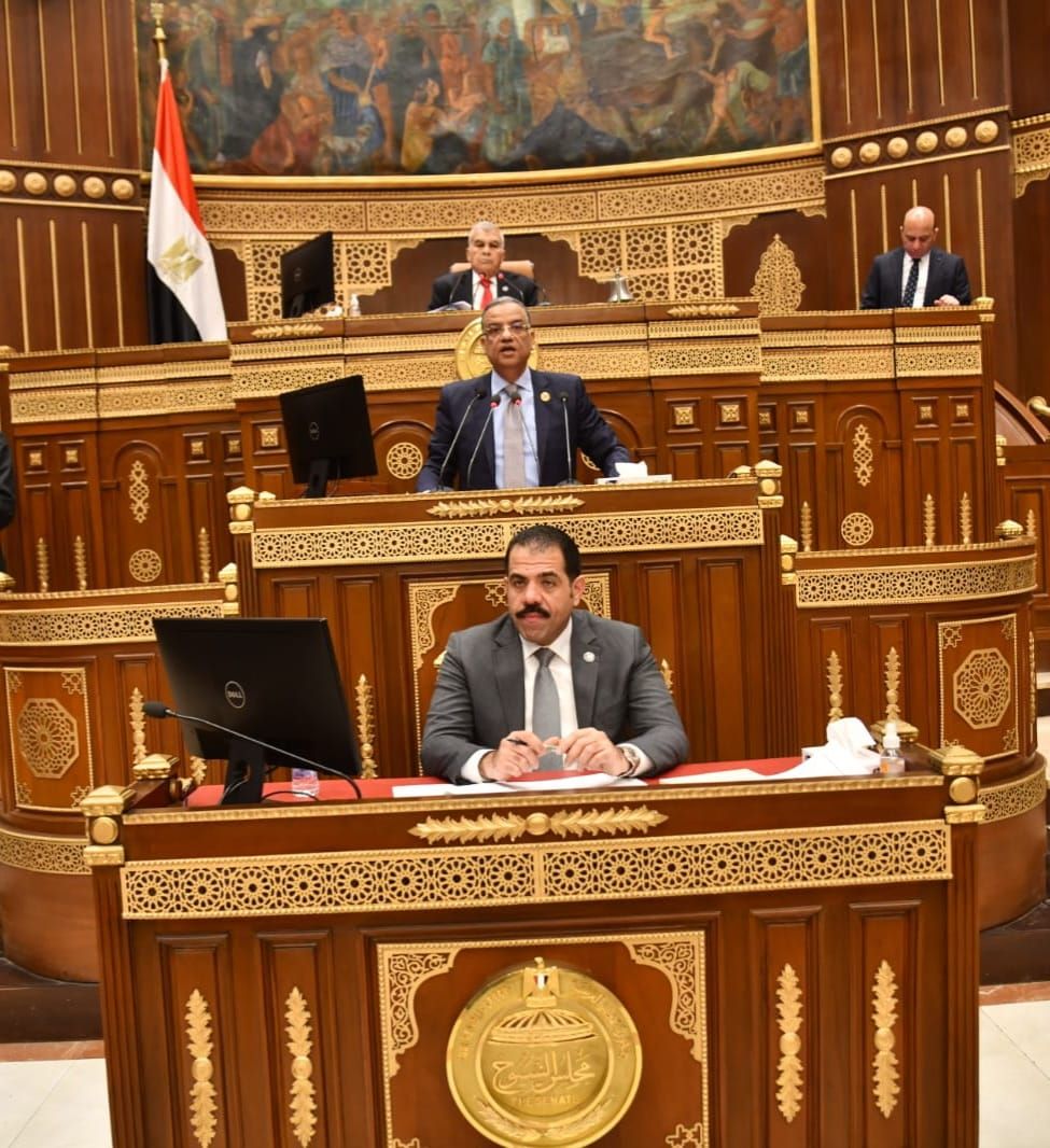 «لازم نمنع البلا قبل وقوعه» .. نواب الشيوخ يطالبون بحلول سريعة لتأثير ومخاطر السوشيال ميديا على الأطفال «صور»