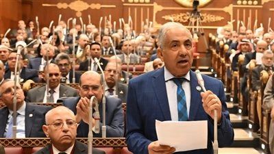 وكيل الشيوخ: السوشيال ميديا تشكل خطرا حقيقيا على الأطفال