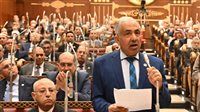 وكيل مجلس الشيوخ يشدد على تنظيم العلاقة بين كليات الطب والمستشفيات الجامعية