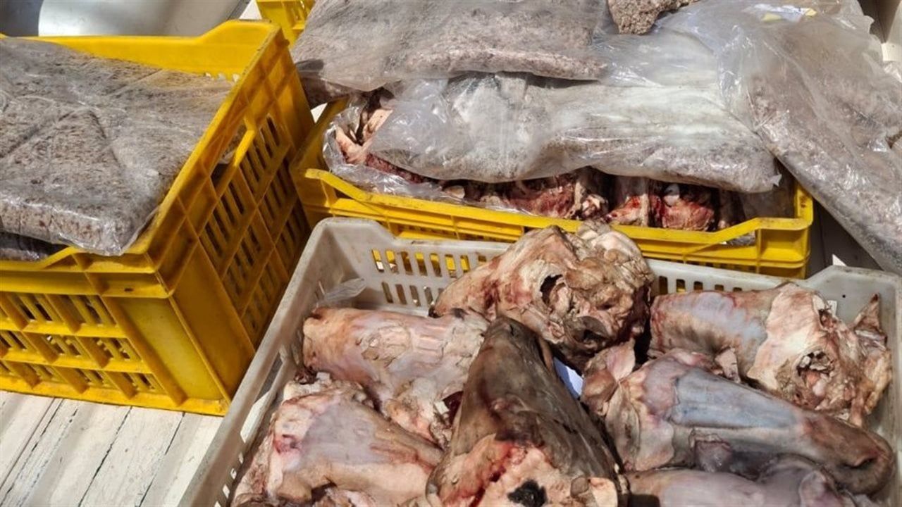 "الزراعة": ضبط 209 أطنان لحوم فاسدة وتحرير 1003 محاضر خلال يناير