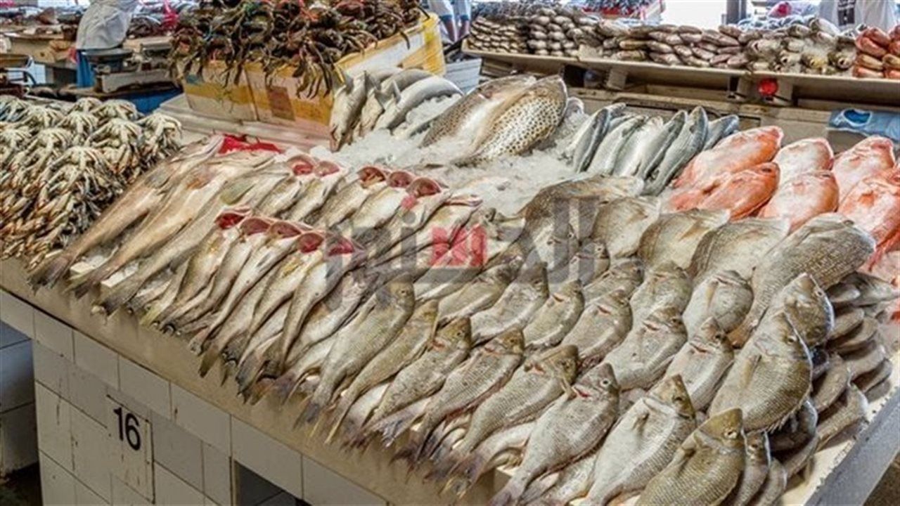 أسعار الأسماك الطازجة والمجمدة اليوم فى أسواق محافظة البحيرة