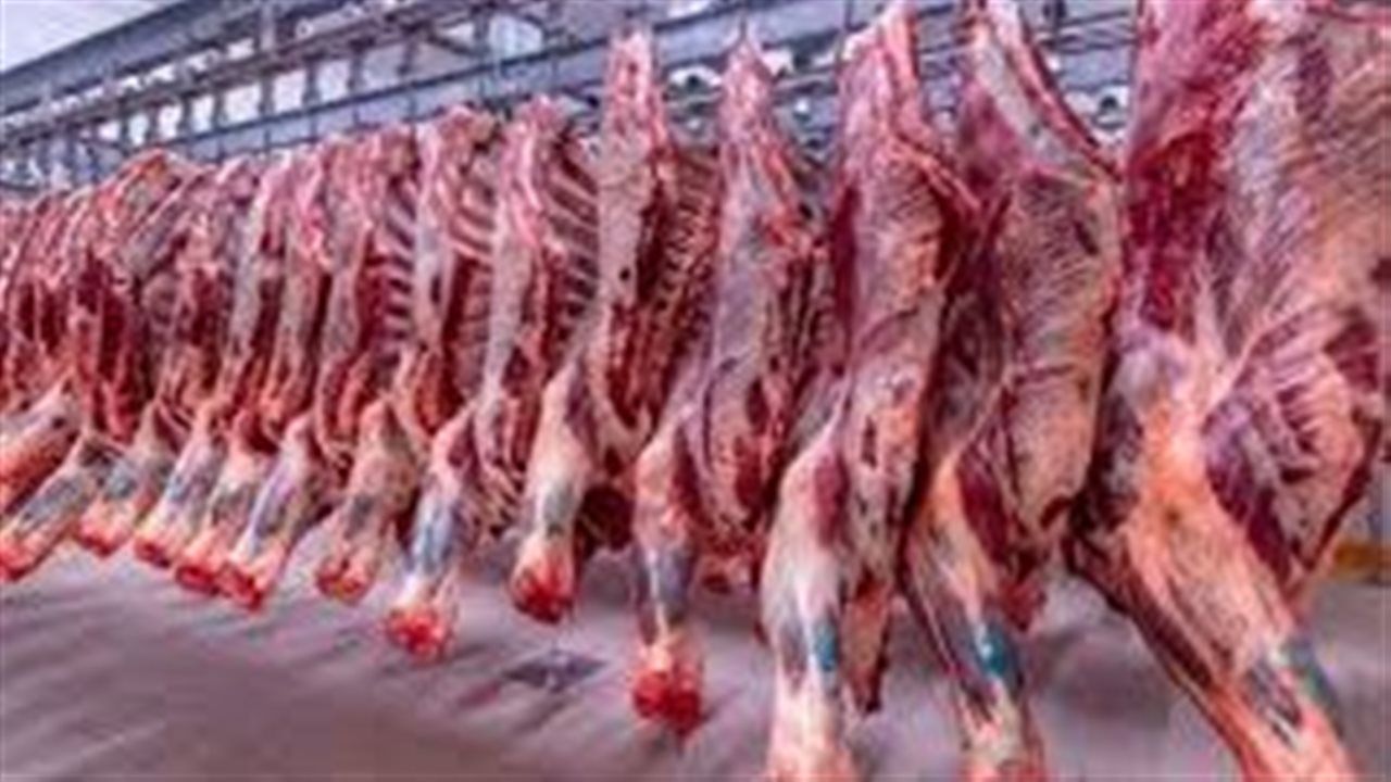 تعرف على أسعار اللحوم اليوم بالإسماعيلية