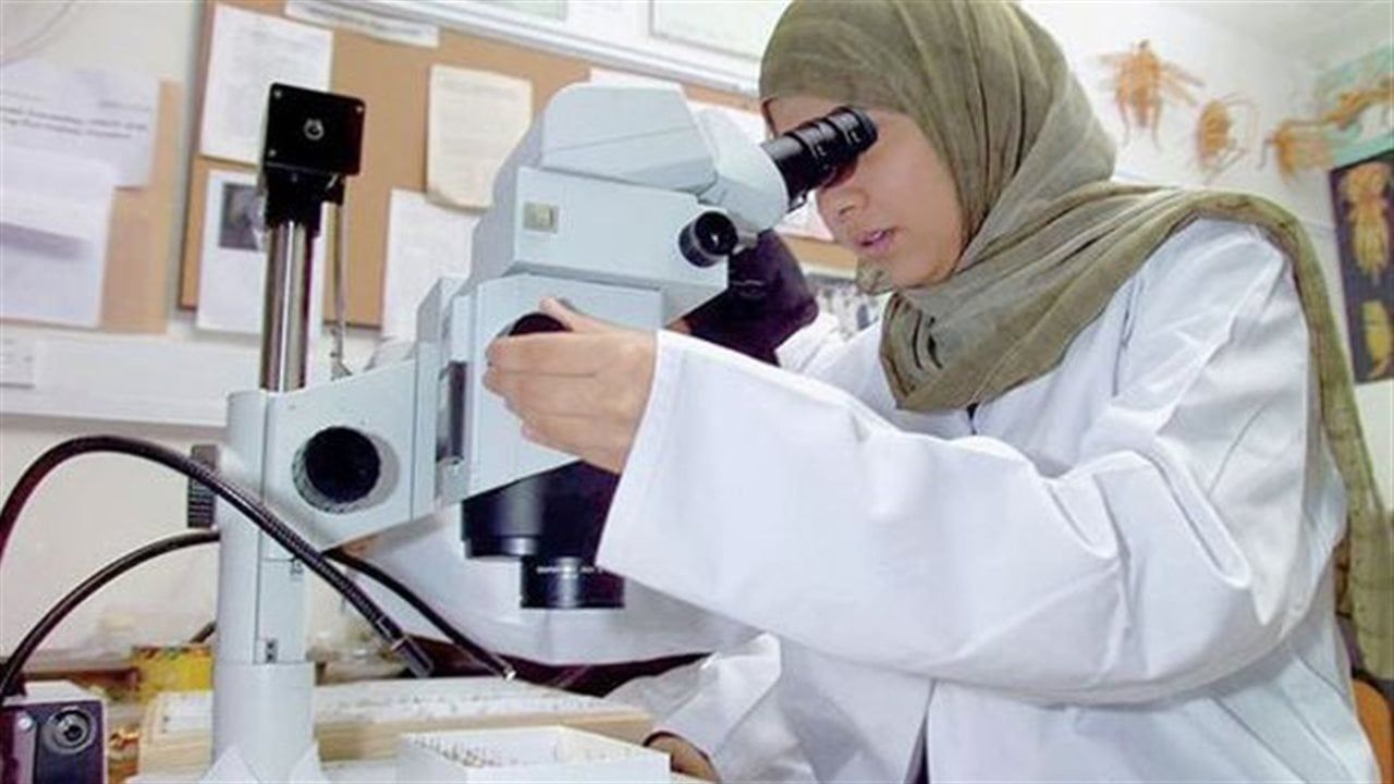 التخطيط: تمكين المرأة اقتصاديًا يرفع الناتج المحلى 34% ونحتاج لحزمة إصلاحات شاملة