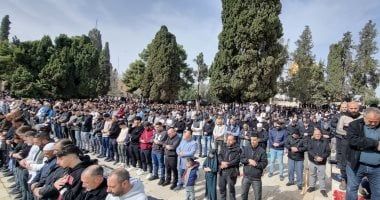 241 مستوطنا يقتحمون المسجد الأقصى
