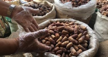 مهرجان التمور بدومة الجندل يشهد إقبالًا متزايدًا في نسخته الثانية عشرة