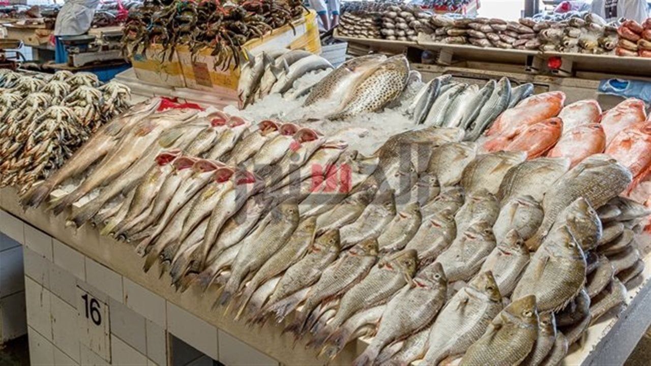 استقرار ملحوظ في أسعار الأسماك بالبحيرة اليوم السبت 7 فبراير 2026