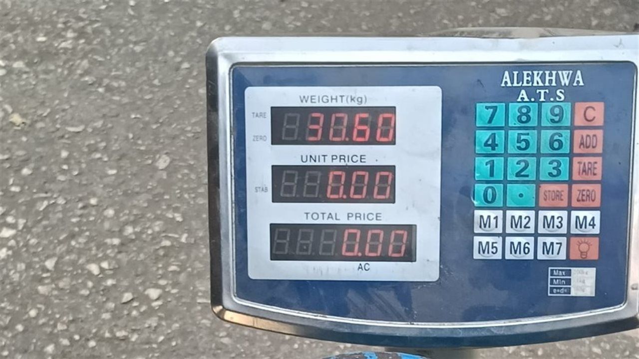 سوهاج.. تحرير 2238 مخالفة تموينية متنوعة خلال يناير