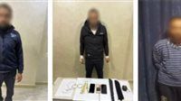 الداخلية تكشف غموض إنهاء حياة سيدة ونجلها بكفر الشيخ وتضبط المتهمين