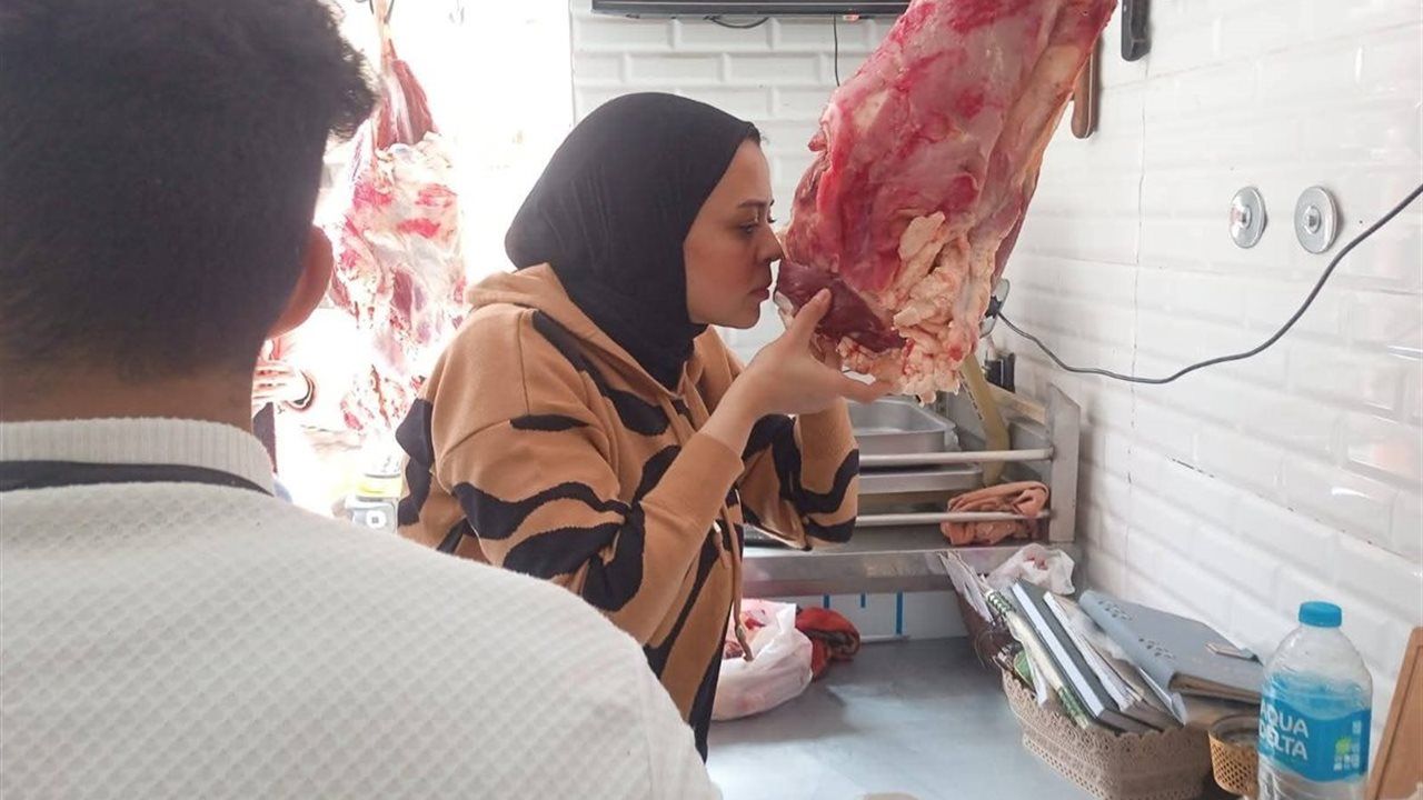 "بيطري المنيا": ضبط 3 أطنان لحوم فاسدة ومذبوحة خارج المجازر خلال أسبوعين
