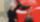 الرئيس تبون يستقبل وفد الـ "فيفا" ومجسّم كأس العالم 2026