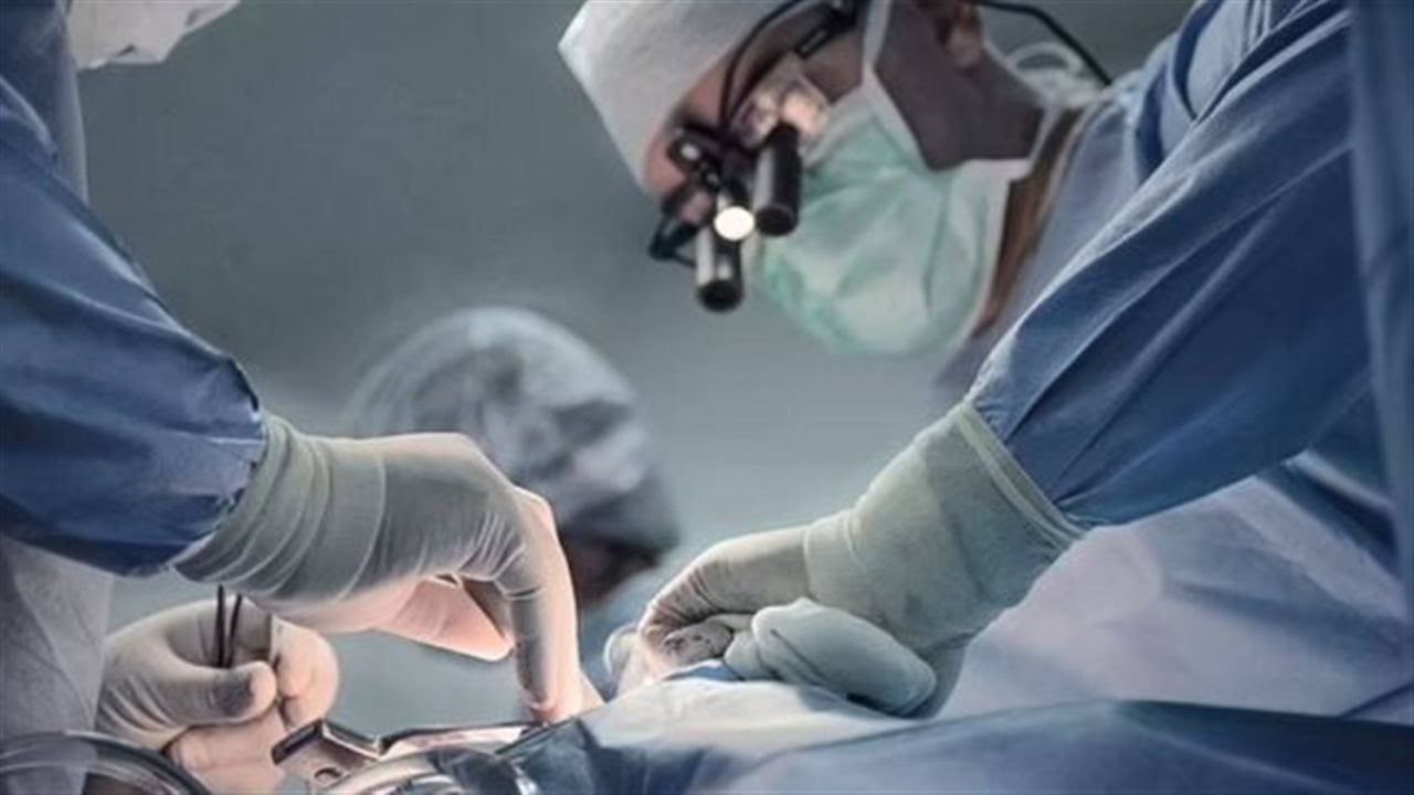 بعد مقترح بالشيوخ.. كيف نظم القانون التبرع بالأعضاء وزرع الأنسجة في مصر؟