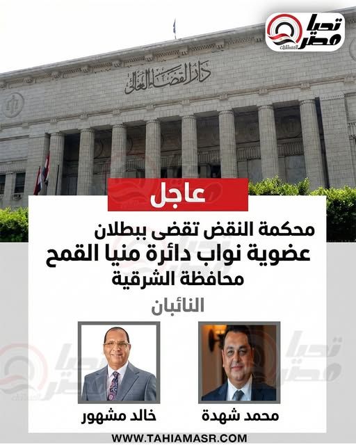 علاء قنديل لـ "تحيا مصر": محكمة النقض تبطل عضوية نواب دائرة منيا القمح والمجلس ليس سيد قراره