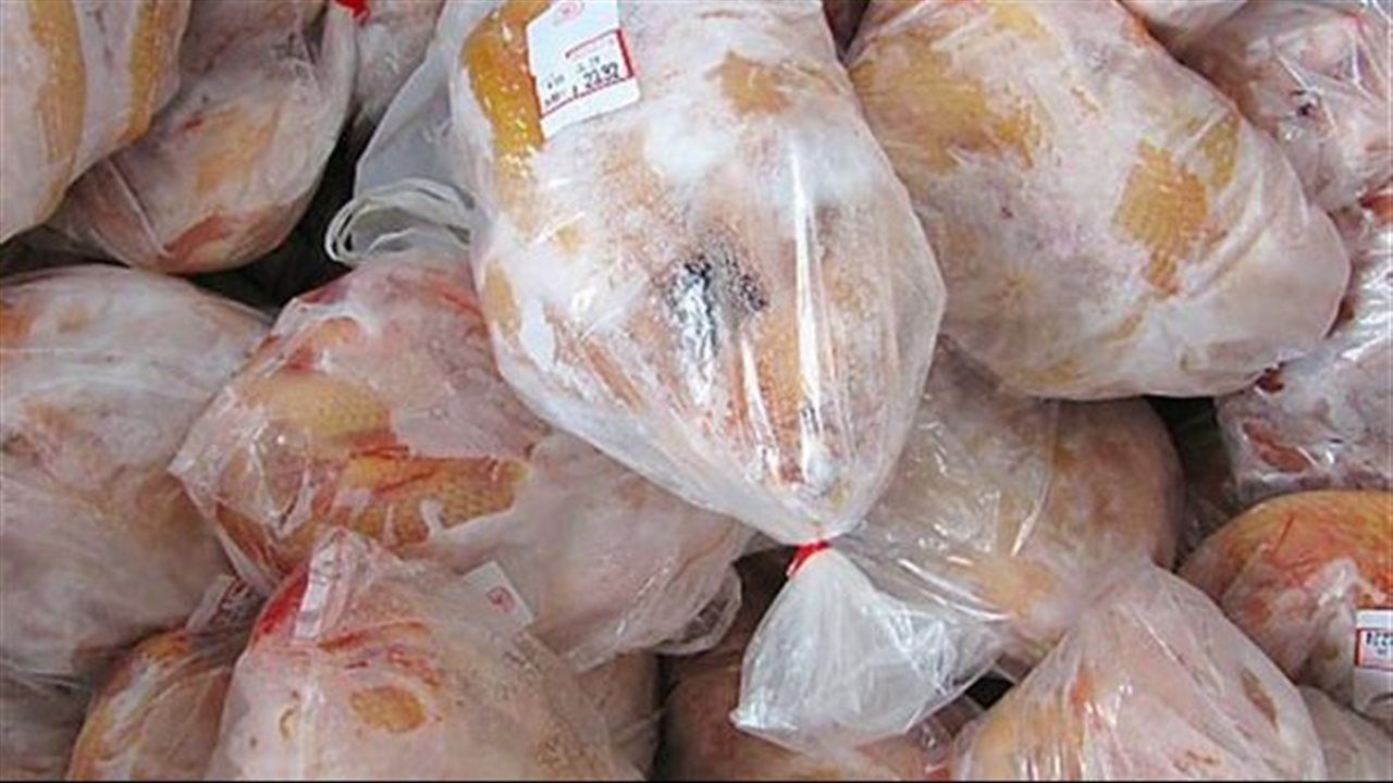 بسعر 100 جنيه.. القابضة الغذائية: ضخ آلاف الأطنان من الدواجن المجمدة
