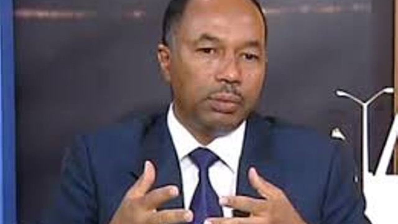 محلل سياسي لـ"الدستور": ممارسات ميلشيا الدعم السريع دمرت نظام السودان الصحي