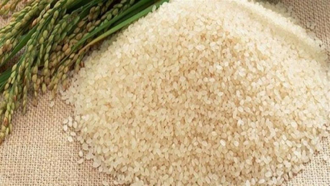 أسعار الأرز الشعير والأبيض بالإسماعيلية اليوم الإثنين