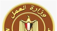 وزارة العمل تواصل حملات التفتيش لضبط سوق العمل وتطبيق أحكام قانون العمل الجديد
