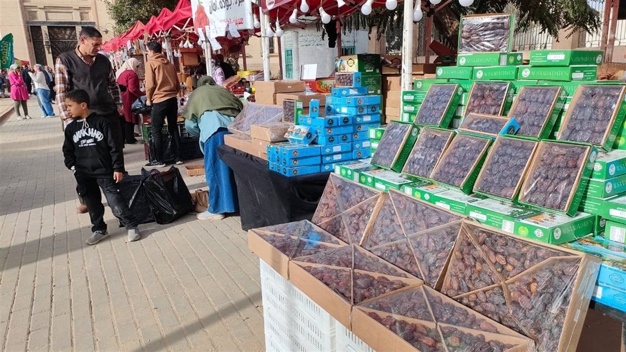 "مش بس بيع وشراء".. معرض التمور يقدم جانبًا تثقيفيًا لزوَّاره (فيديو)