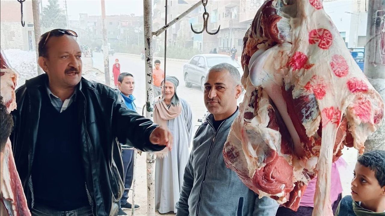 حملات تفتيش مكثفة لـ"بيطري بني سويف" على محلات بيع وتداول اللحوم