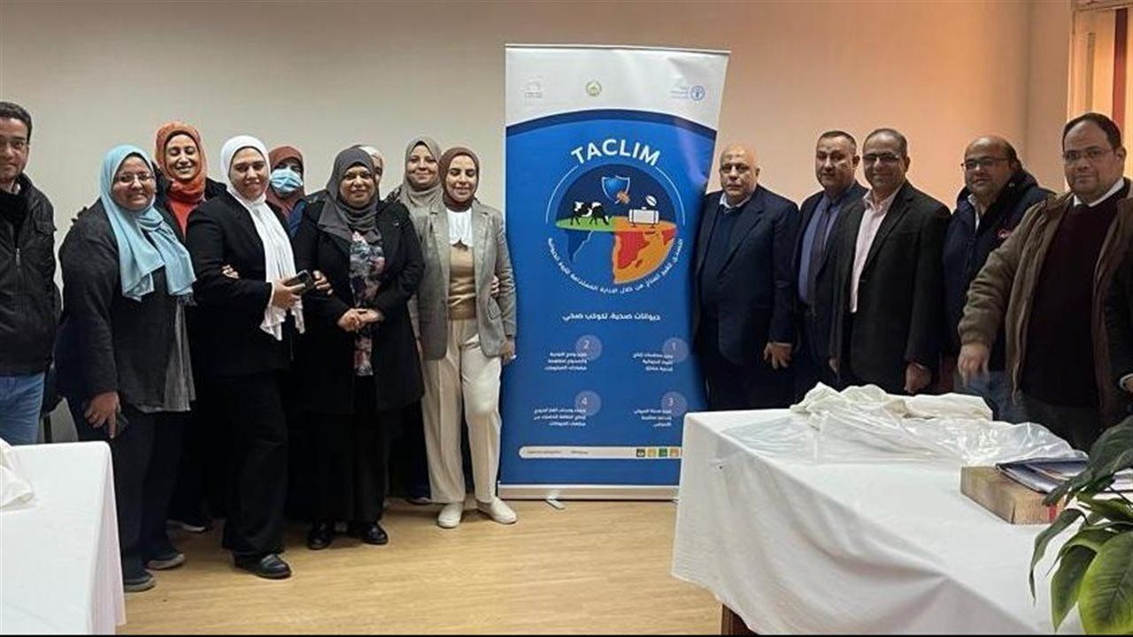 "الزراعة" تعقد ورشة عمل بالتعاون مع "الفاو" لمراجعة الدليل الحقلي لمكافحة الطفيليات