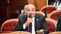 النائب محمد نوح: خطة لتوصيل الغاز الطبيعي لقرى الشرقية ضمن «حياة كريمة» لتخفيف الأعباء عن المواطنين