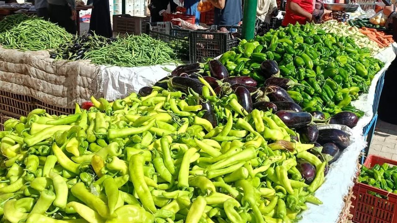 أسعار الخضر والفاكهة بأسواق الوادي الجديد 28 مارس 2026