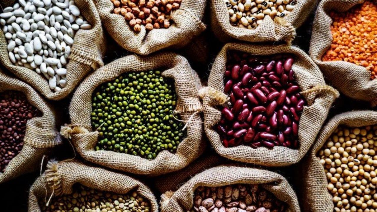 أسعار البقوليات بأسواق البحر الأحمر اليوم السبت 28 مارس 2025