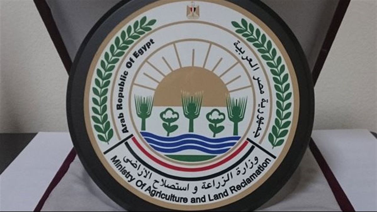 "الزراعة" تكثف جولاتها الميدانية لمتابعة الصوب الزراعية ودعم مزارعي الخضر والفاكهة