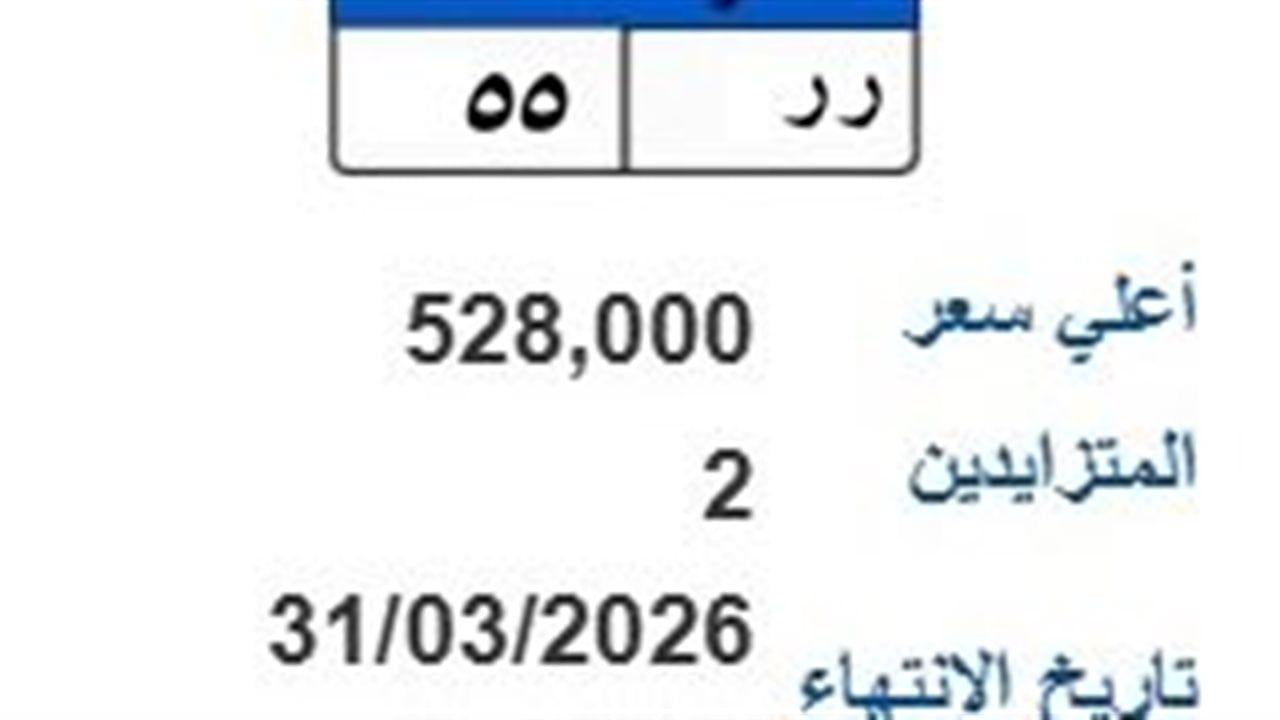 لوحة (رر - 55) المميزة يصل سعرها لـ 528 ألف جنيه