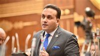النائب عمرو فهمي: قرارات الحكومة بزيادة الأجور وتوفير مخزون آمن من السلع رسالة طمأنة قوية للمواطنين